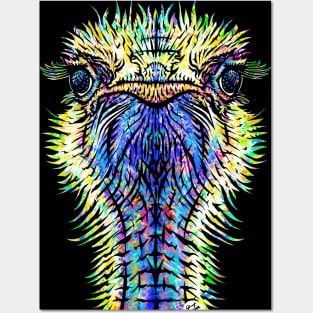 OSTRICH watercolor and ink portrait Posters and Art